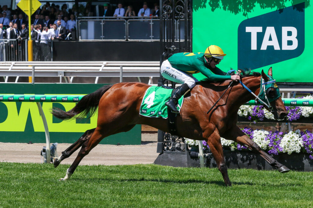 0SHEZA ALIBI9A0222 | Just Horse Racing