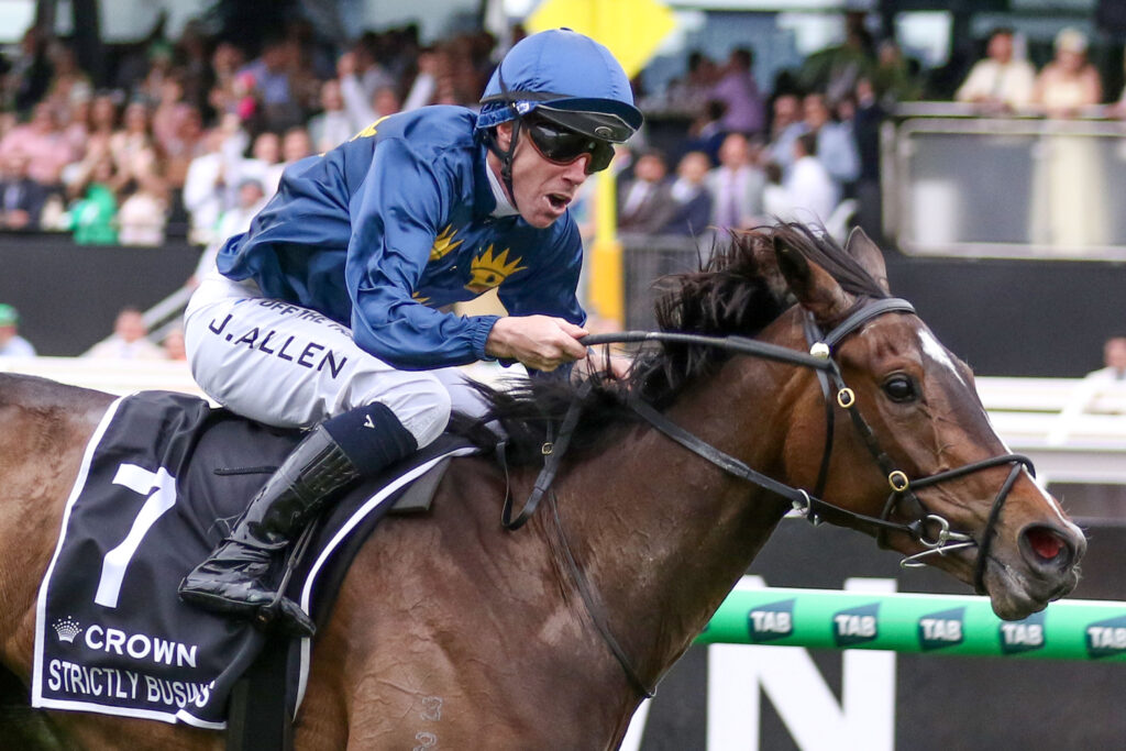 0STRICTLY BUSINESS9A1177 | Just Horse Racing
