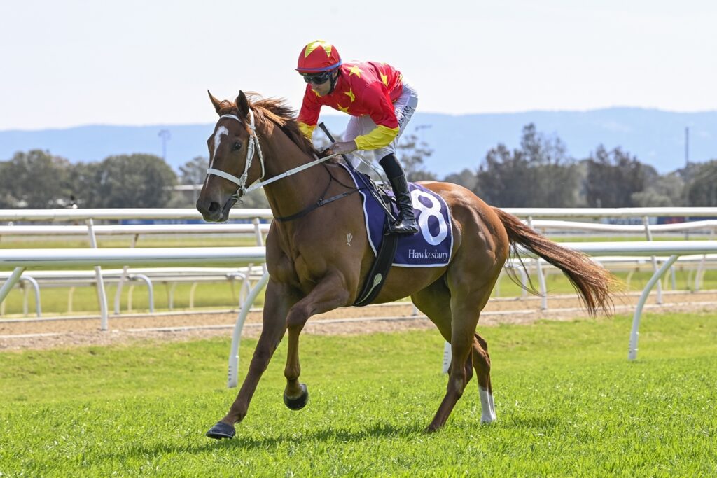 The Pearls | Just Horse Racing