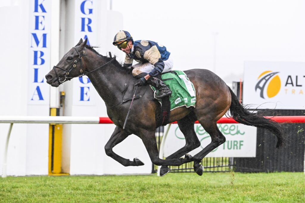 Gringotts | Just Horse Racing