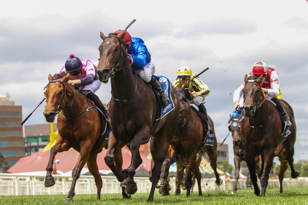 IMG_0338 | Just Horse Racing