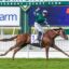 Well Written | Just Horse Racing