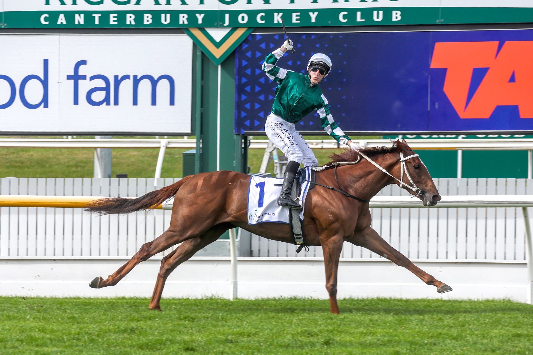 Well Written odds on in G1 Proisir Plate field