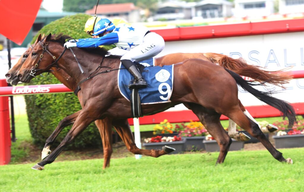 rockribbed 13 | Just Horse Racing