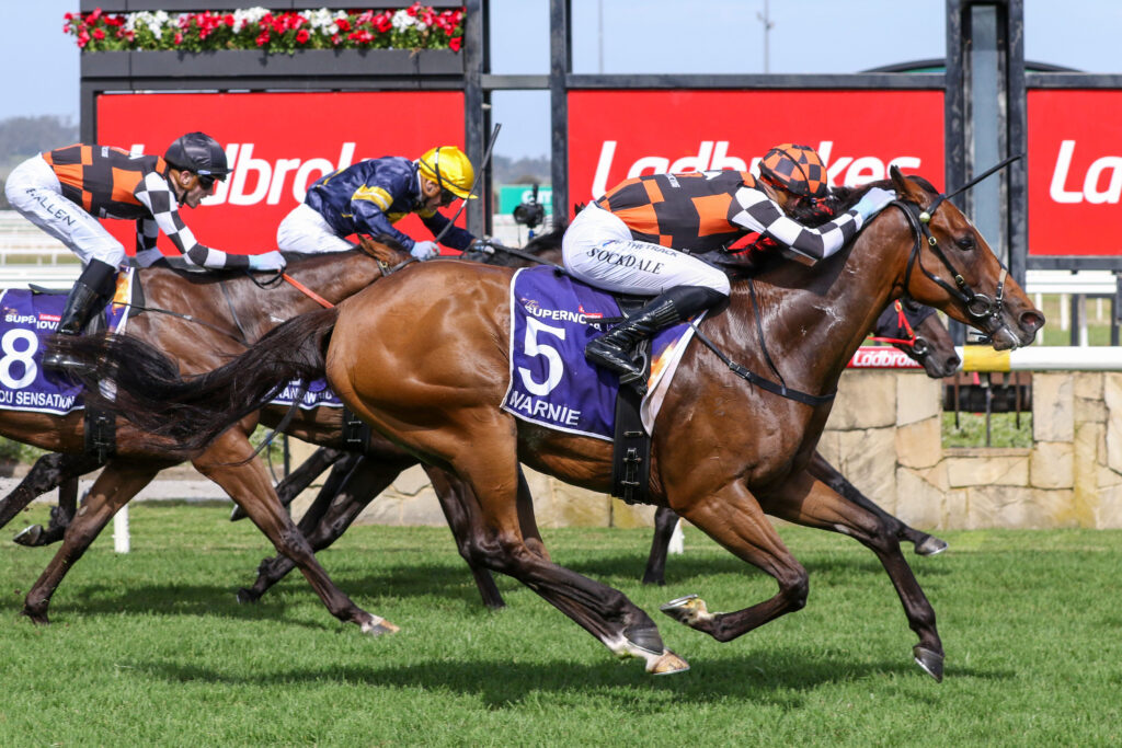 0WARNIE9A1071 | Just Horse Racing