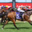 0WARNIE9A1072 | Just Horse Racing