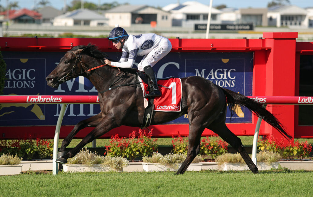 CABALLUS (3) | Just Horse Racing