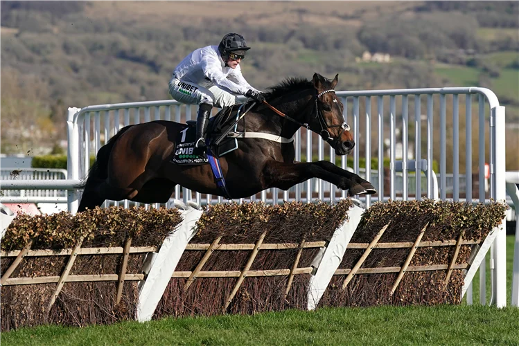 Constitution Hill | Just Horse Racing