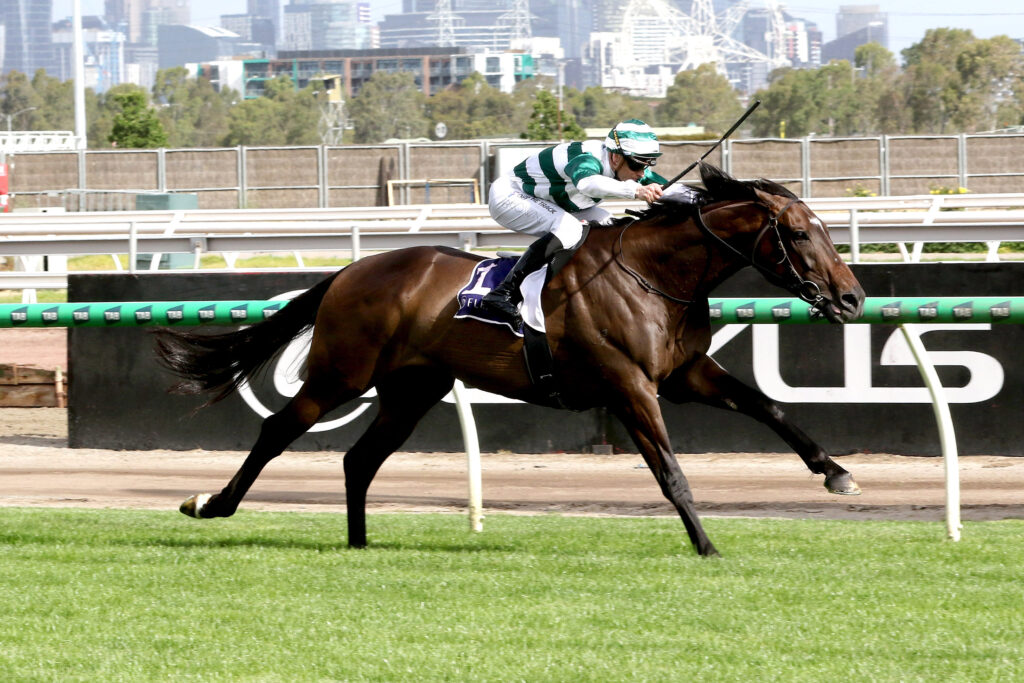 FutureHistory-20251231-0044 | Just Horse Racing