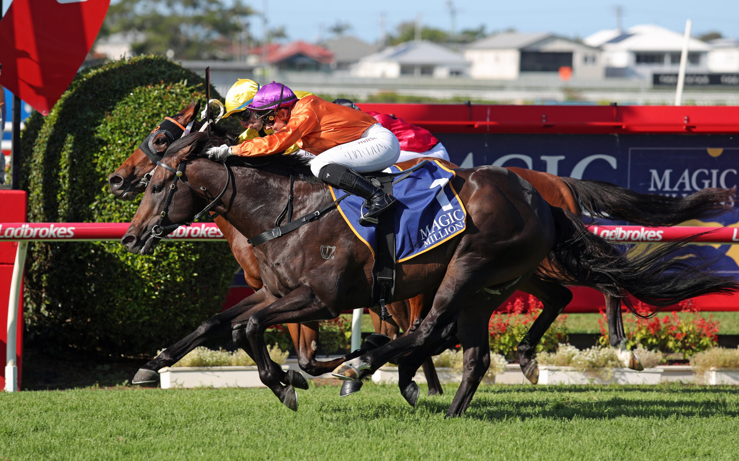 Sydney Stakes Tips, Field, Betting, Odds & Horse Previews – 2026
