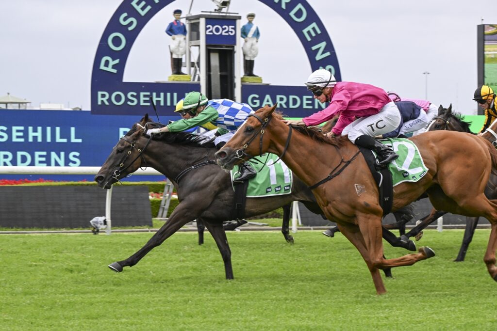 2214804.jpg | Just Horse Racing