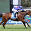 Hedged-20251226-9548 | Just Horse Racing