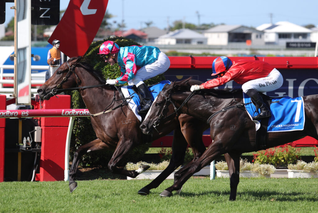ITCHINTOGO (6) | Just Horse Racing