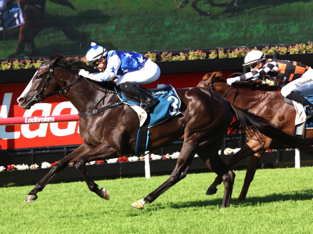 Miss Joelene 2 | Just Horse Racing
