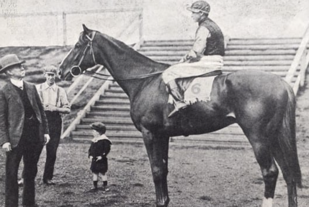Mountain King | Just Horse Racing