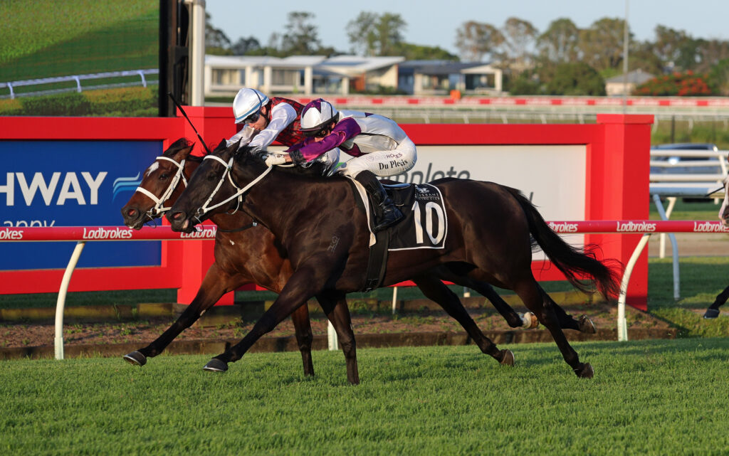 NIGHTLINE (2) | Just Horse Racing
