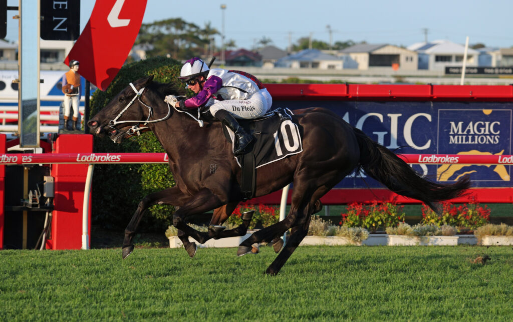 NIGHTLINE (5) | Just Horse Racing