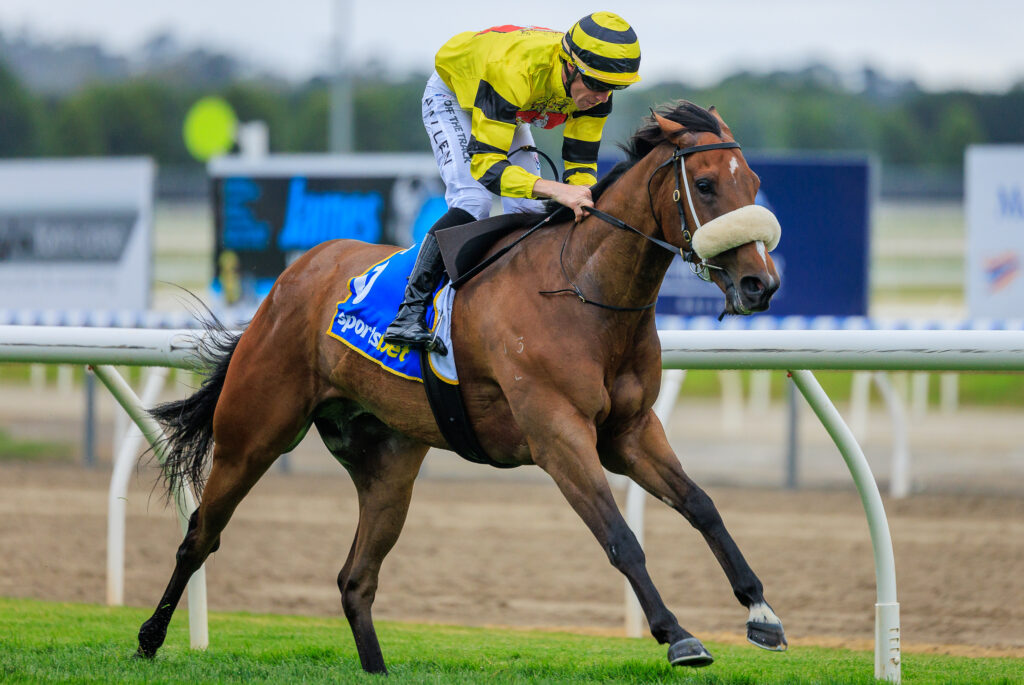 Caulfield Race Day: | Just Horse Racing