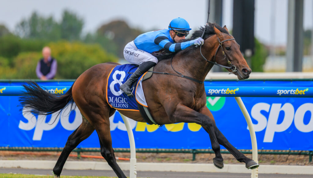 R4 Unit Five, ridden by Thomas Stockdale_1288727_Courtney_ | Just Horse Racing