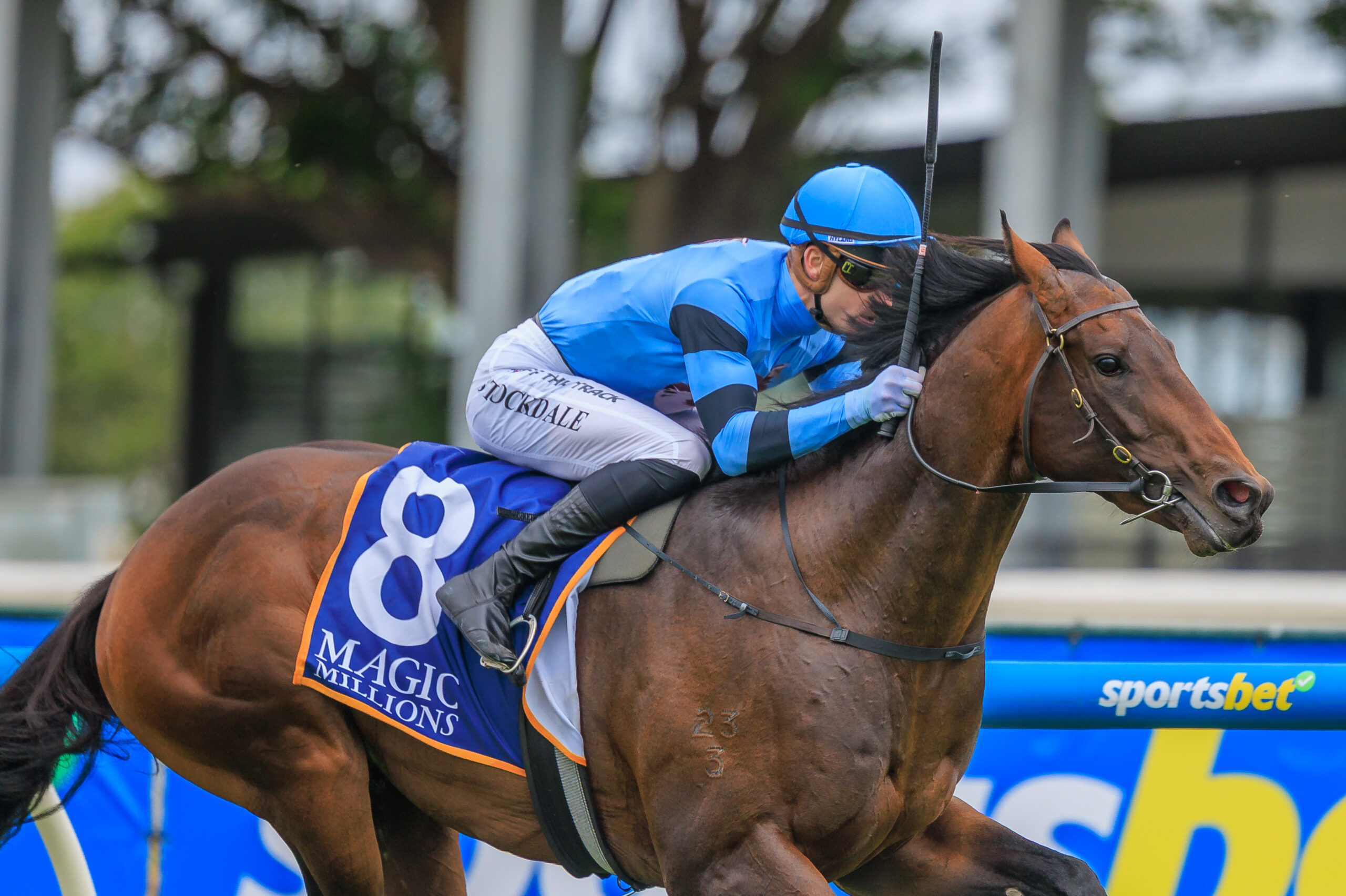 Unit Five on the move to Sydney | Just Horse Racing