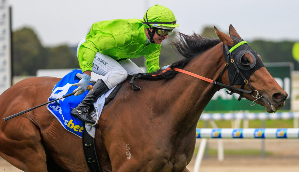 Caulfield Race Day: | Just Horse Racing