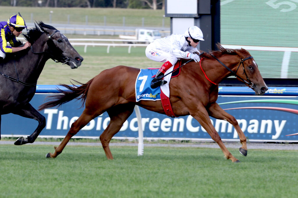 StealthOfNight-20251226-9709 | Just Horse Racing