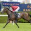 Unleeshing | Just Horse Racing