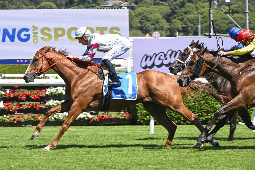 2241394.jpg | Just Horse Racing
