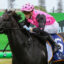 Melanite,Magic Millions Maiden Plate_17-01-2026_WIN_Gold Coast_1__635 | Just Horse Racing