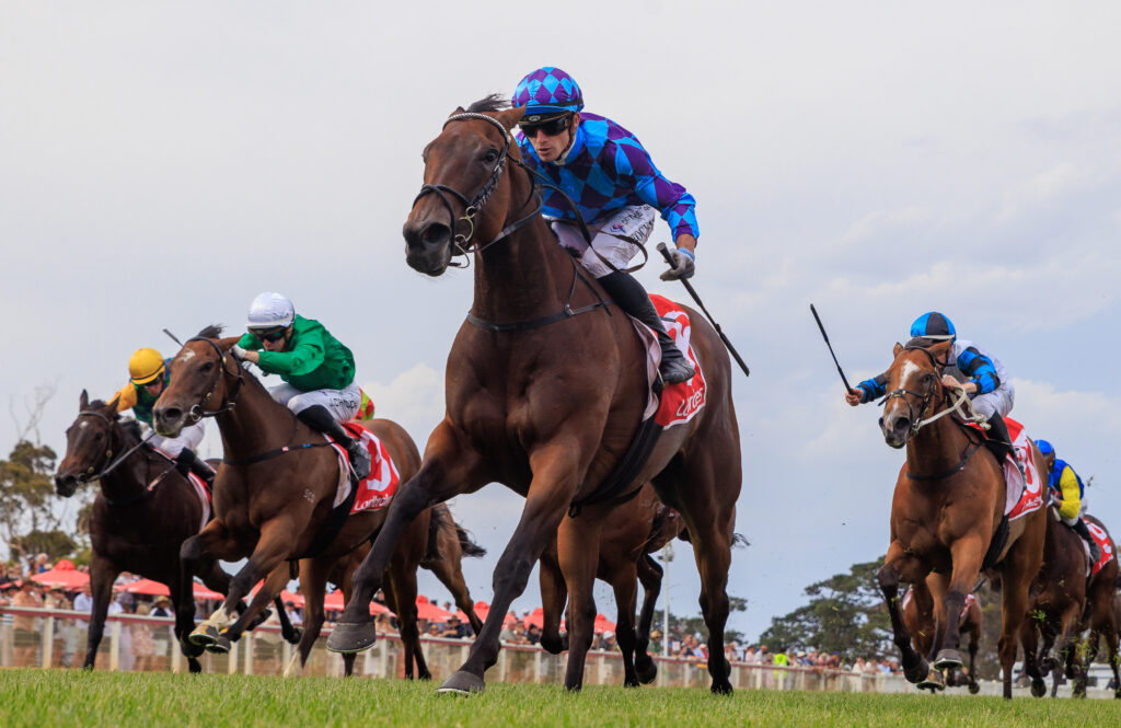 R9 Jenni The Fox, ridden by Thomas Stockdale_1300966_Courtney_ | Just Horse Racing