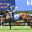 Satin Summer | Just Horse Racing