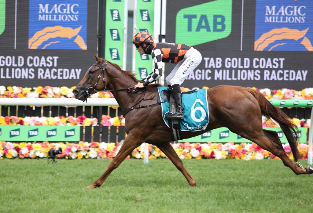 Snitzanova | Just Horse Racing