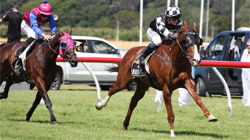 Tisse | Just Horse Racing