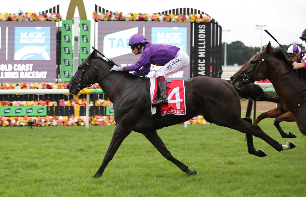 Torque To Be Sure 3 | Just Horse Racing