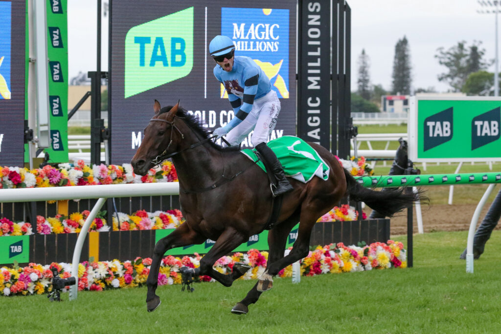 Unit Five,Magic Millions 2YO Classic_17-01-2026_WIN_Gold Coast_7__1957 | Just Horse Racing