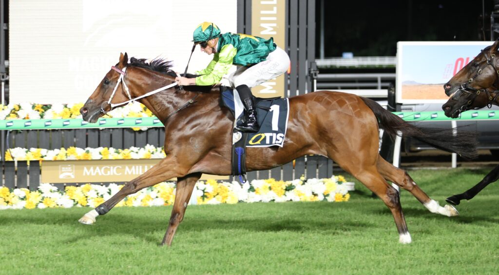 Yellow Brick 2 | Just Horse Racing