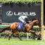 0HARD KICK9A0122 | Just Horse Racing