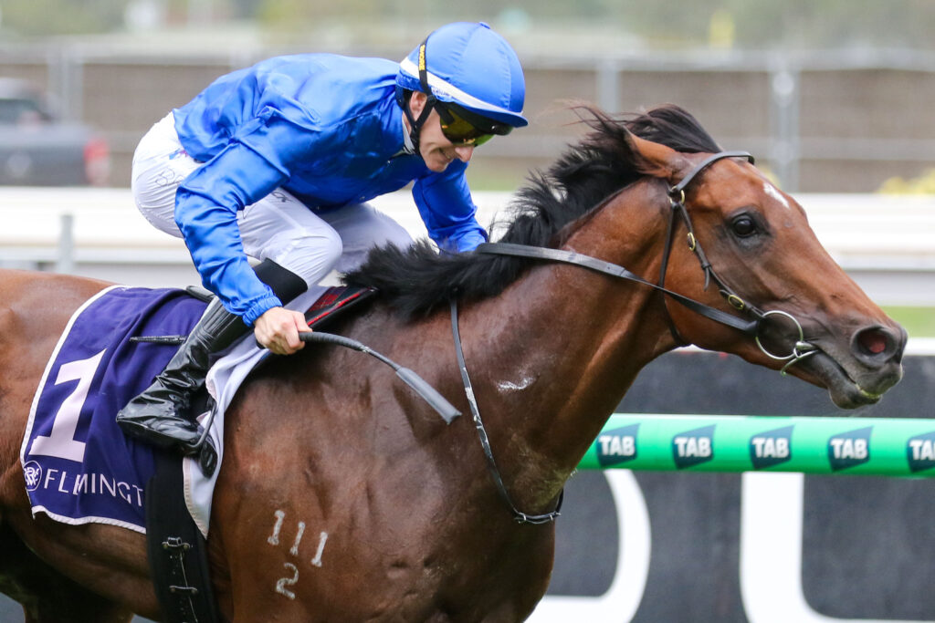 0OBSERVER9A0883 | Just Horse Racing