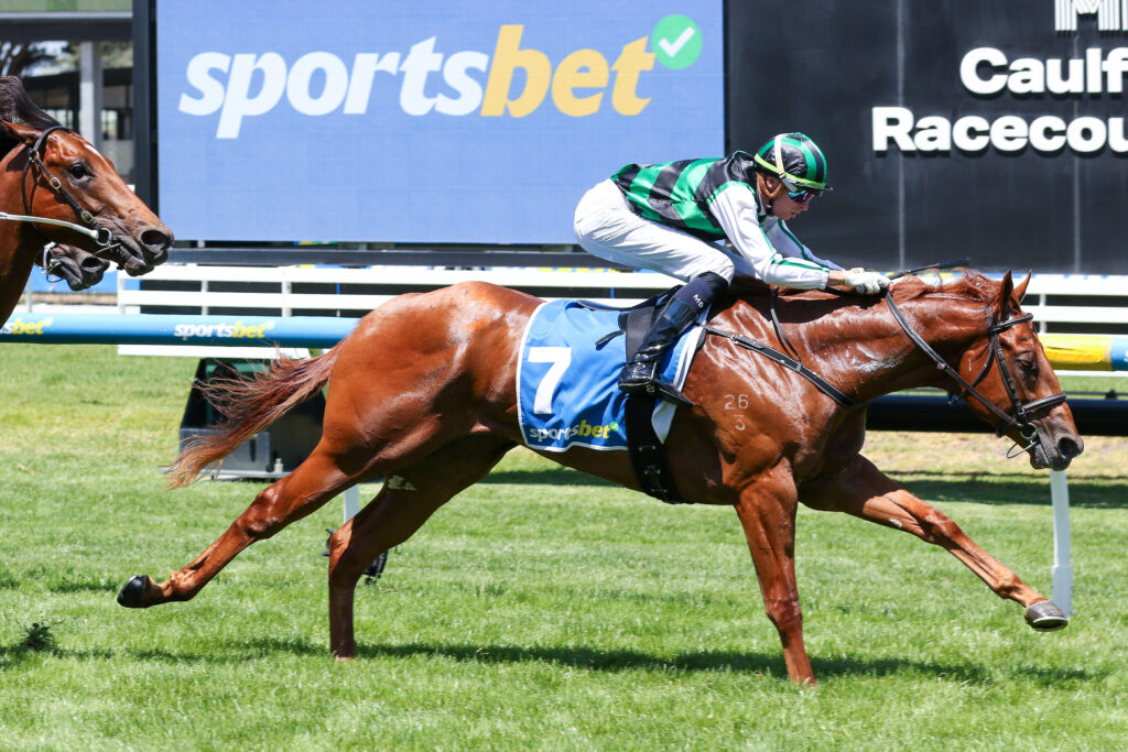 CAULFIELD_7_2_2026 RACE 3 CLOSER TO FREE (10) | Just Horse Racing
