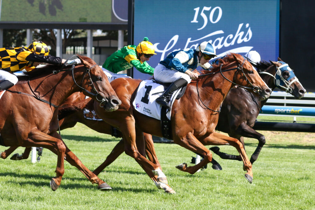 CAULFIELD_7_2_2026 RACE 9 LIGHT INFANTRY MAN (9) | Just Horse Racing