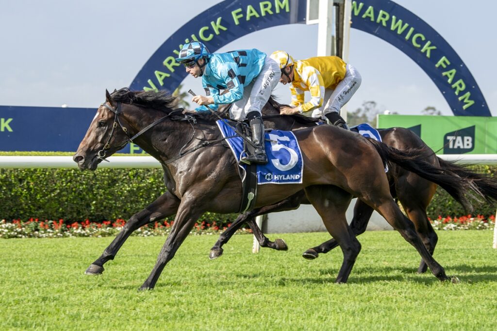 2254747.jpg | Just Horse Racing