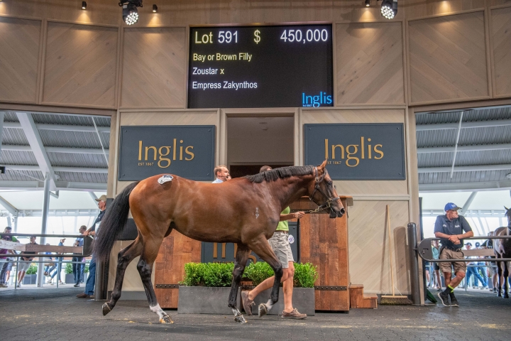 Inglis Classic sale | Just Horse Racing