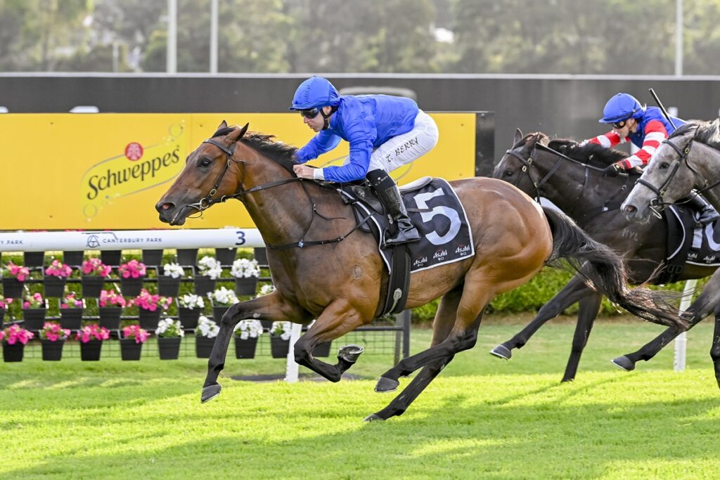 2216591.jpg | Just Horse Racing