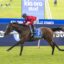 2256573.jpg | Just Horse Racing