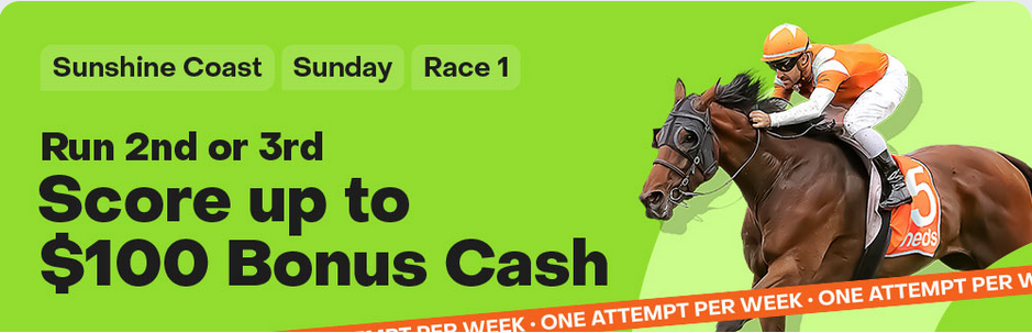 Sunshine Coast race 1 Bet back | Just Horse Racing
