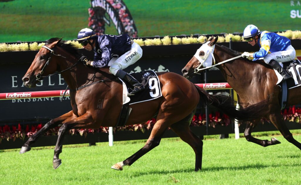 demon darb 2 | Just Horse Racing