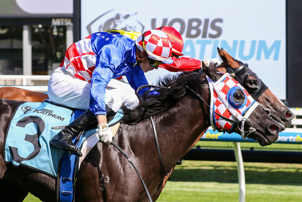 0BIG WIGS9A0943 | Just Horse Racing