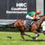 0GENTLE STEEL9A0370 | Just Horse Racing