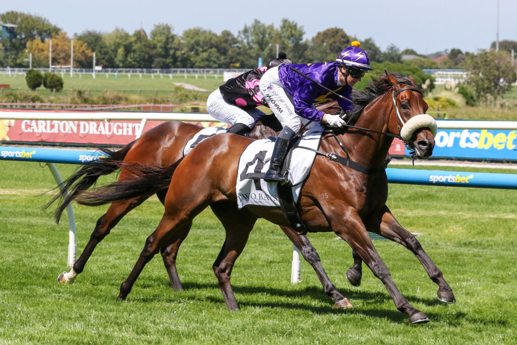 0HARRYS YACHT9A0472 | Just Horse Racing