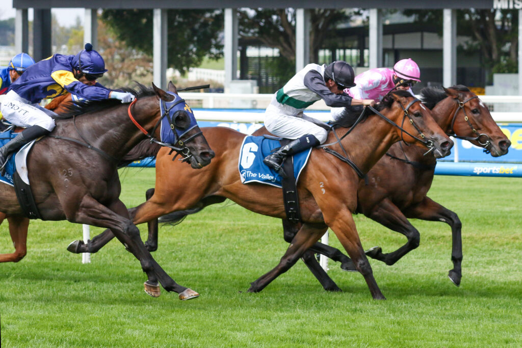 0KA YING CHEER9A0056 | Just Horse Racing